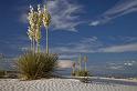 072 White Sands National Monument